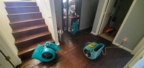 Best Water damage restoration near me  in East Mckeesport, PA