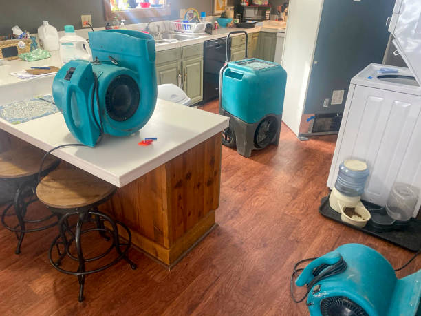 Best Water damage cleanup near me  in East Mckeesport, PA