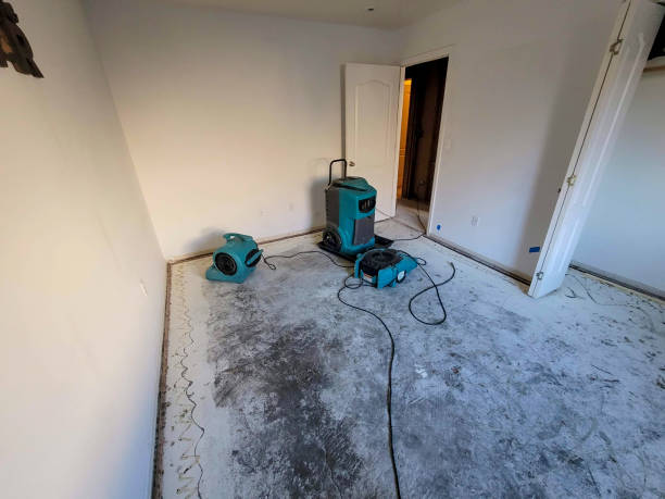 Best Mold removal after water damage  in East Mckeesport, PA
