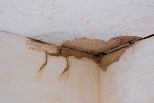  East Mckeesport, PA Water damage restoration Pros