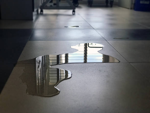 Best 24/7 water damage repair  in East Mckeesport, PA