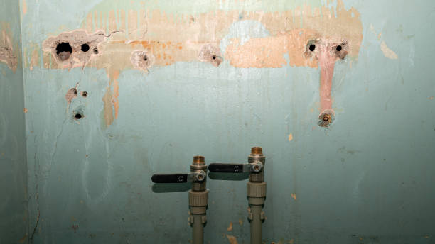 Best Water damage restoration company  in East Mckeesport, PA