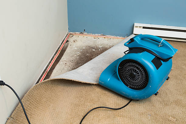 Best Fire Damage Restoration  in East Mckeesport, PA